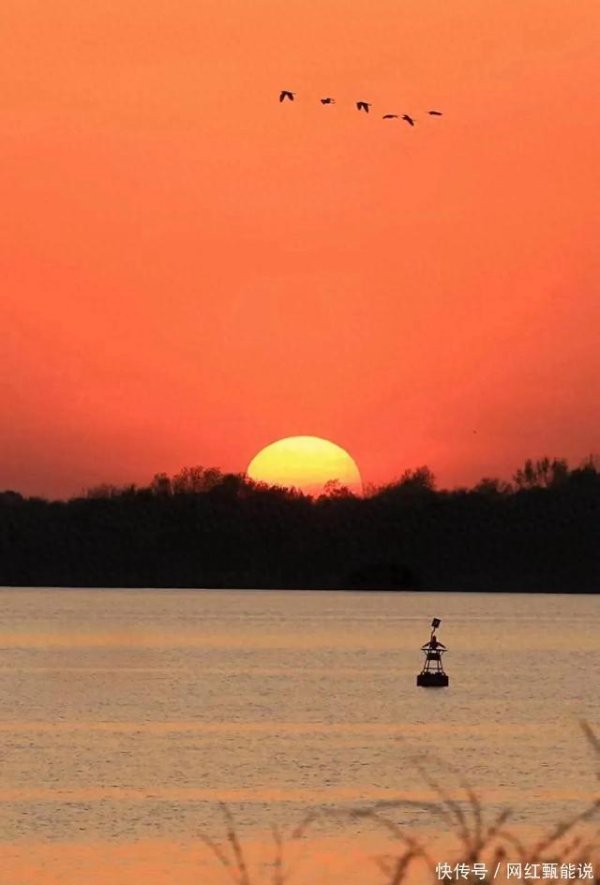 九游体育官网登录入口 不错臆想的是-九游「中国体育」娱乐 官方网站 登录入口